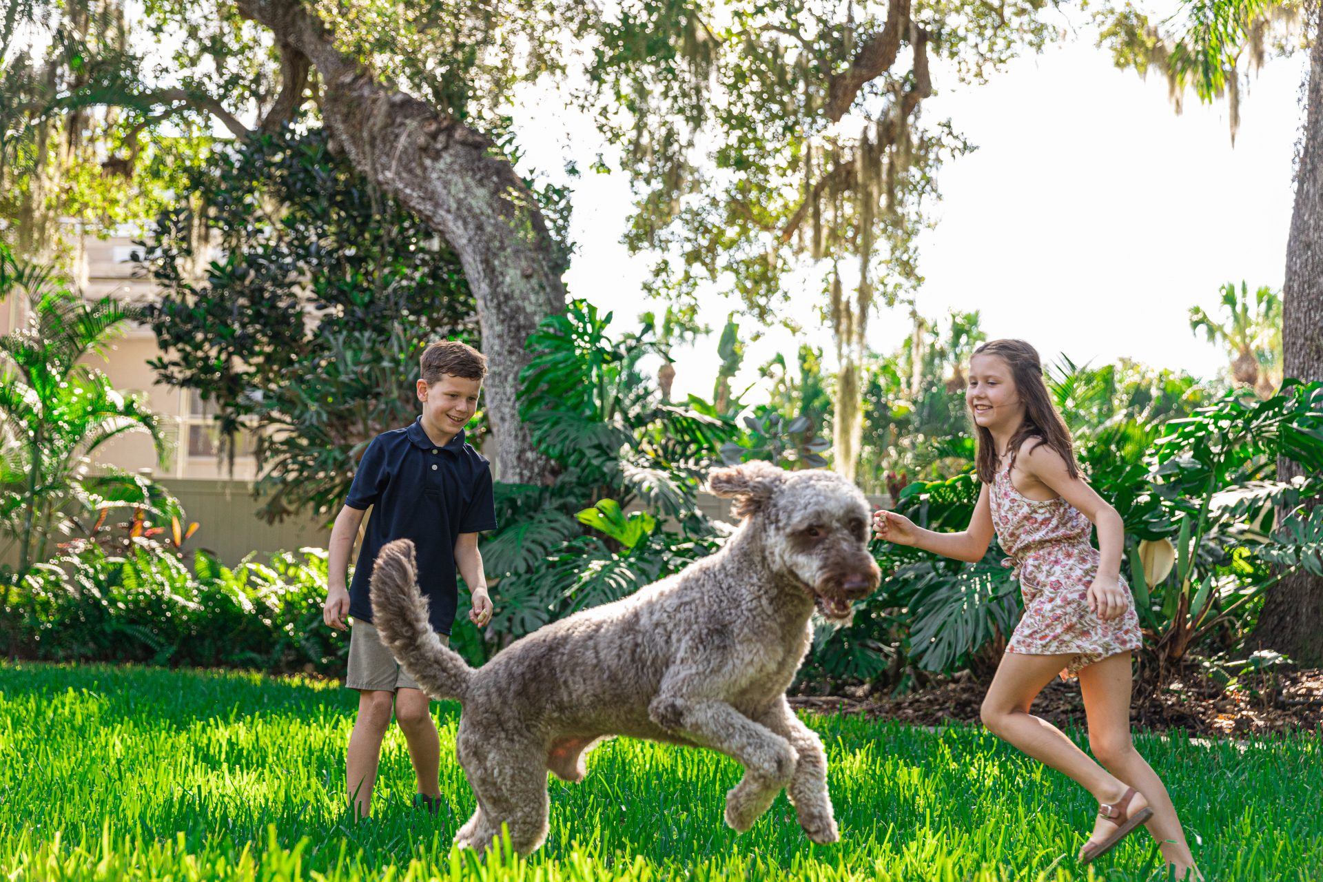 kids playing with dog in yard