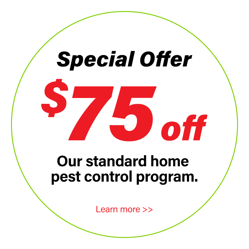 Special Offer - $75 off our standard home pest control program