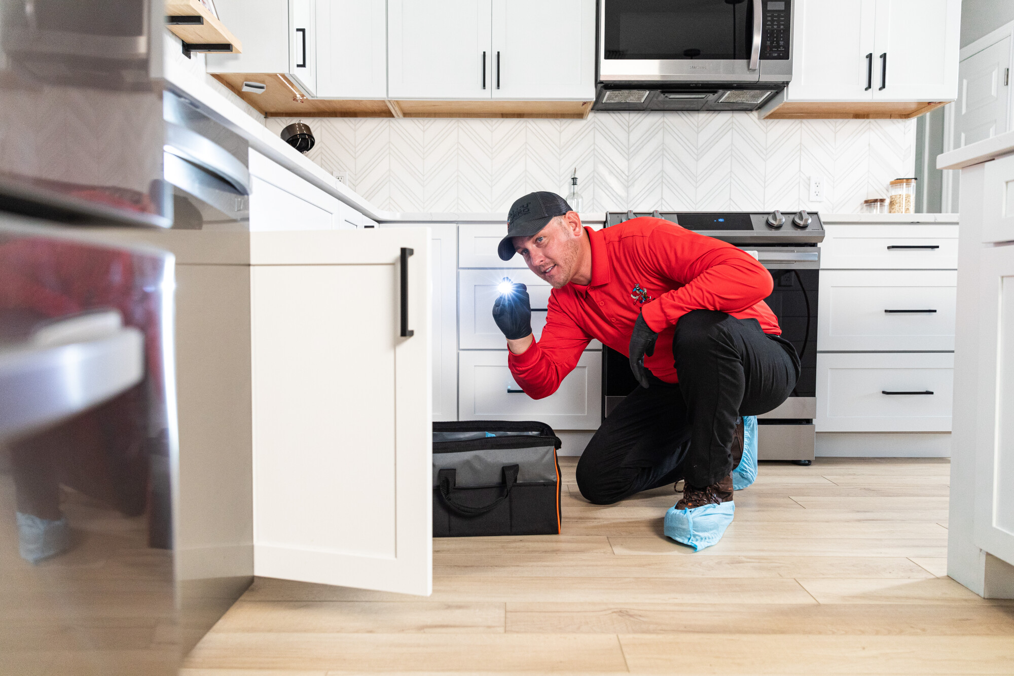 Do Silverfish Bite? What You Should Know