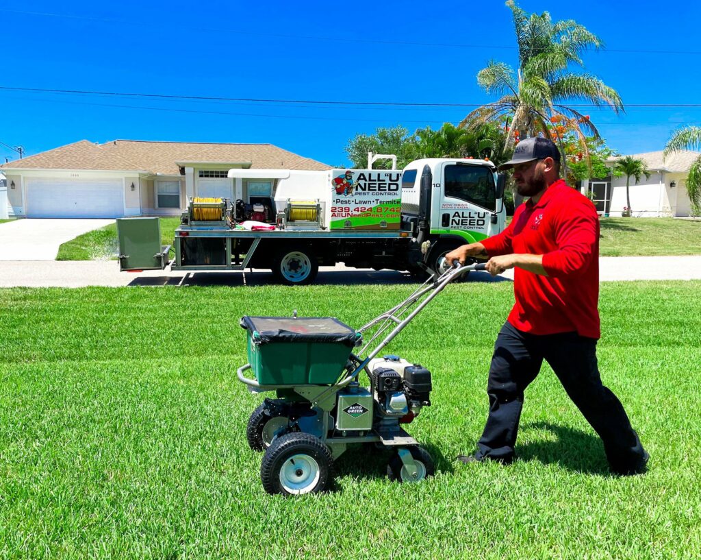 Your Guide to Brown Spots in Lawn in Cape Coral cover